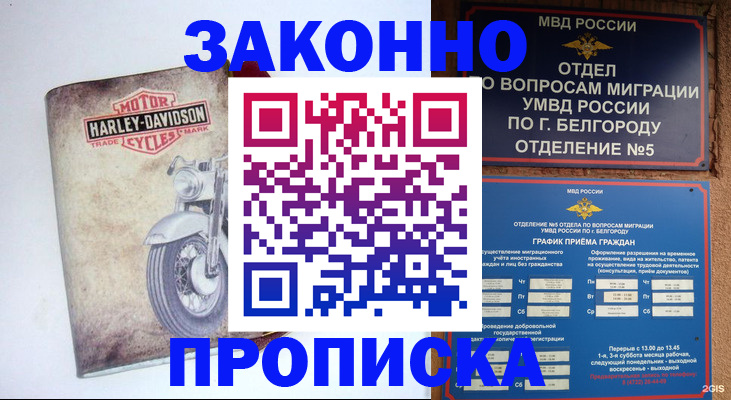 прописка для школы в Борисоглебске